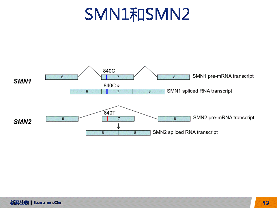 服来代理  数字PCR及部分应用(图12)