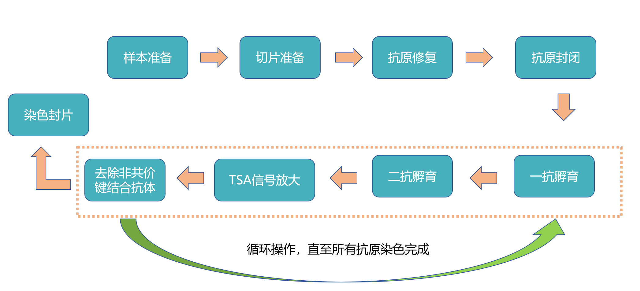 七色多重免疫荧光试剂盒Plus版（兔鼠通用二抗）(图1)