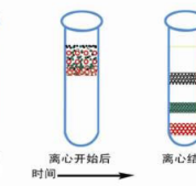 膜蛋白的提取方法，最全攻略在此