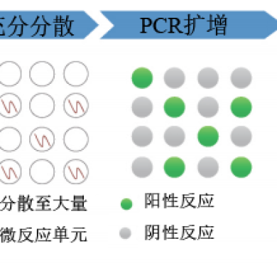 大咖有话说系列--dPCR的临床应用之肺癌篇