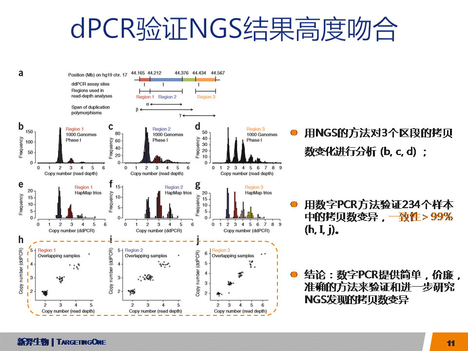 服来代理  dPCR应用于转基因基因编辑(图11)