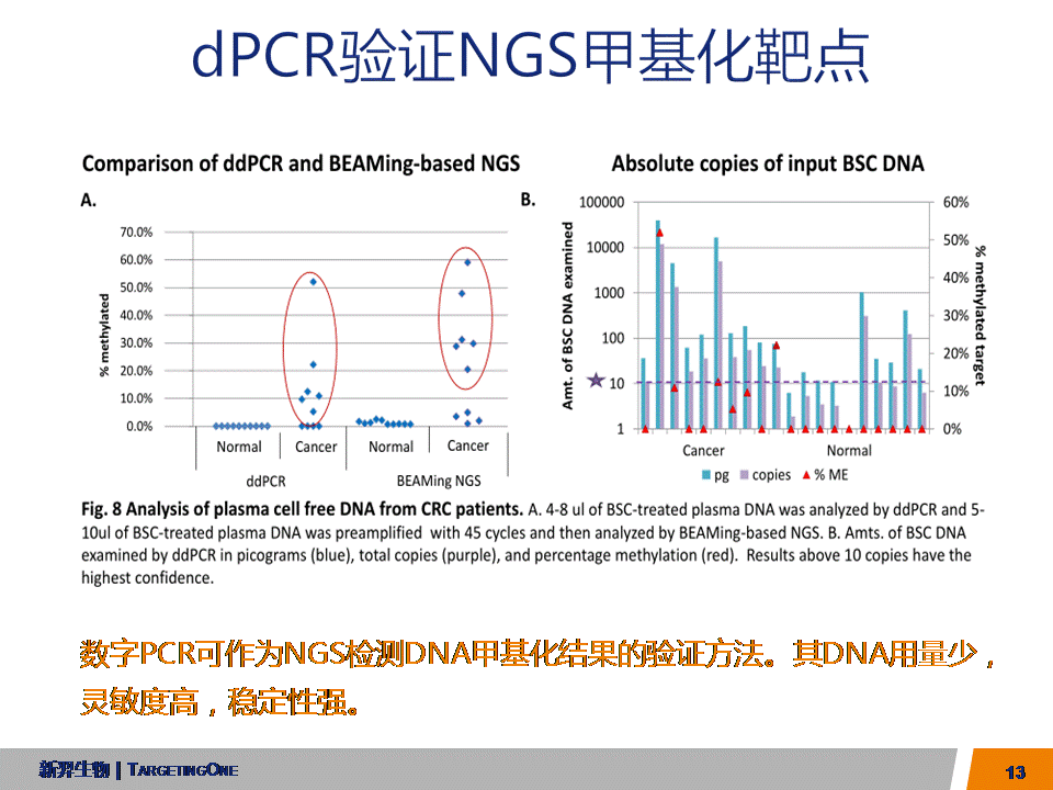 服来代理  dPCR应用于转基因基因编辑(图13)