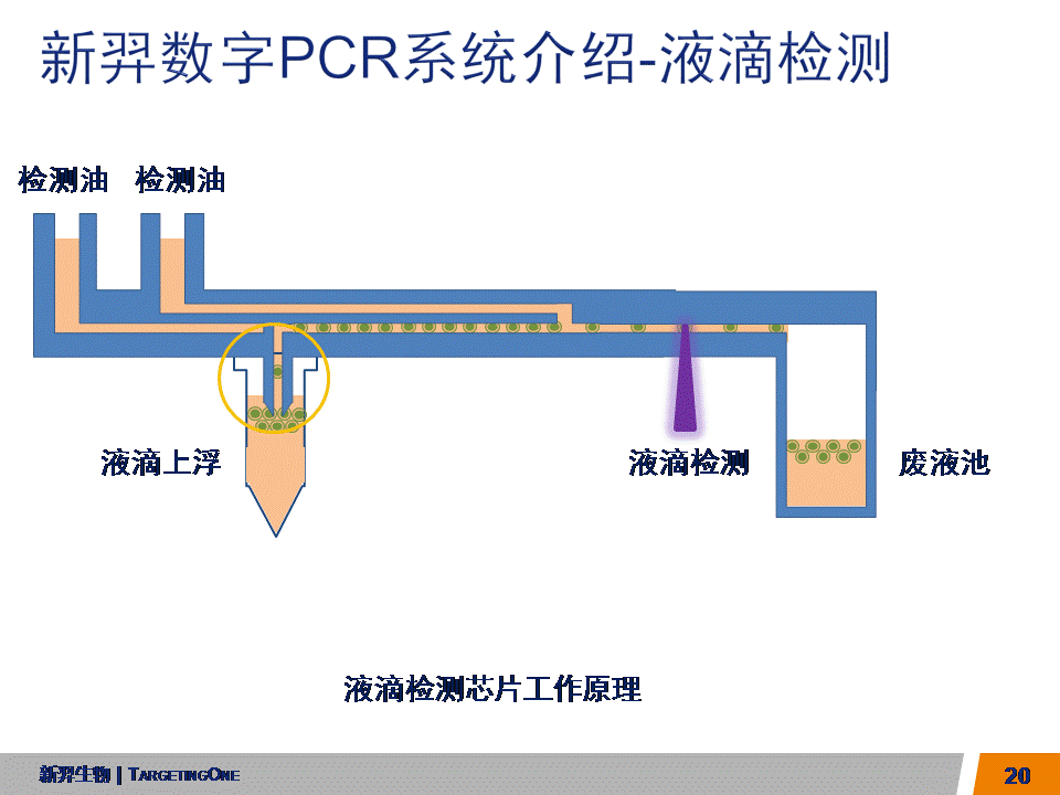  服来代理 数字PCR (图20)