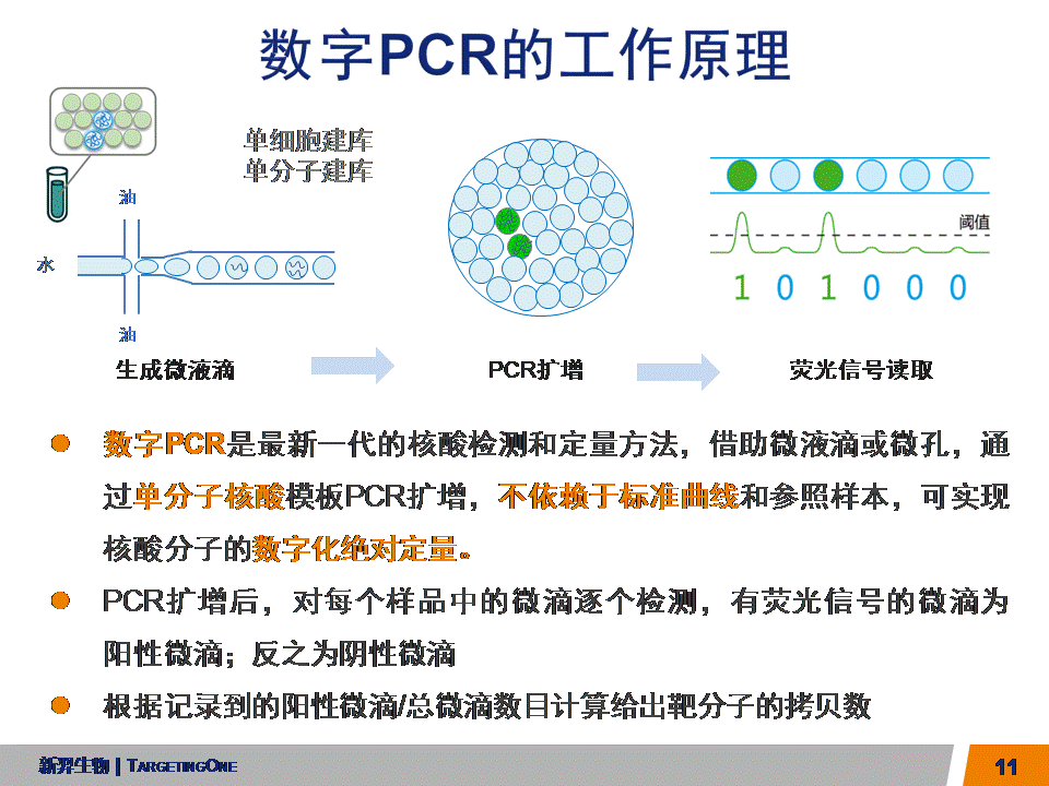  服来代理 数字PCR (图11)