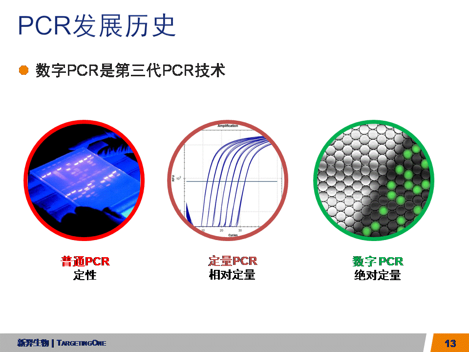  服来代理 数字PCR (图13)