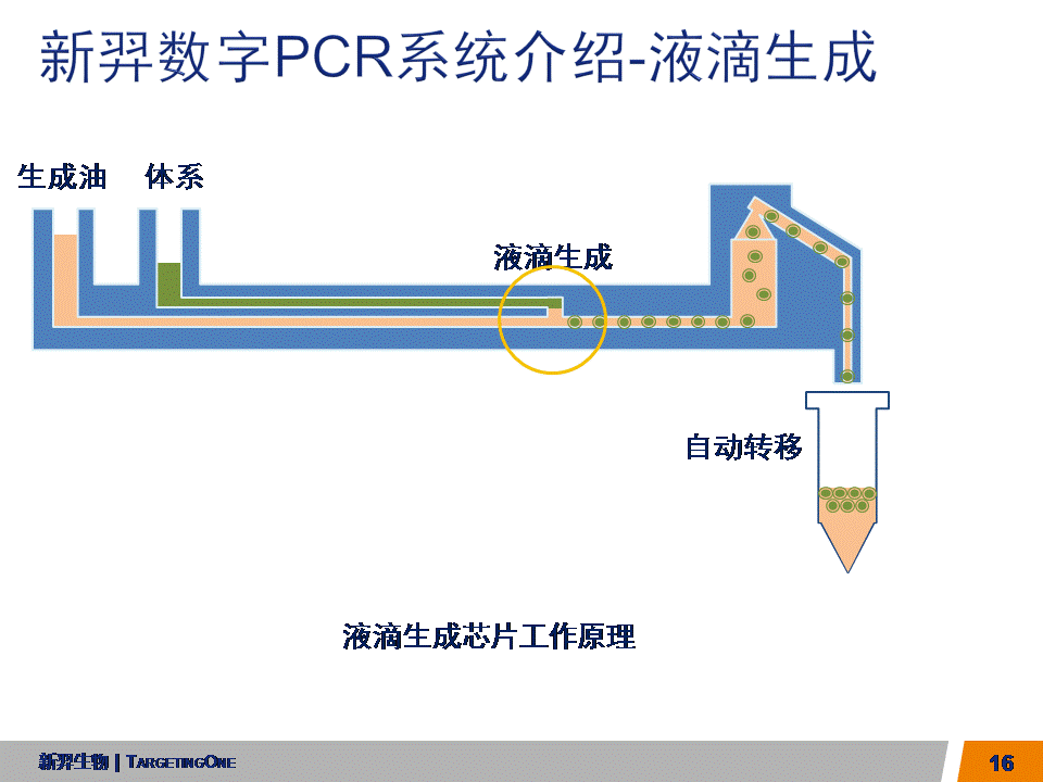  服来代理 数字PCR (图16)