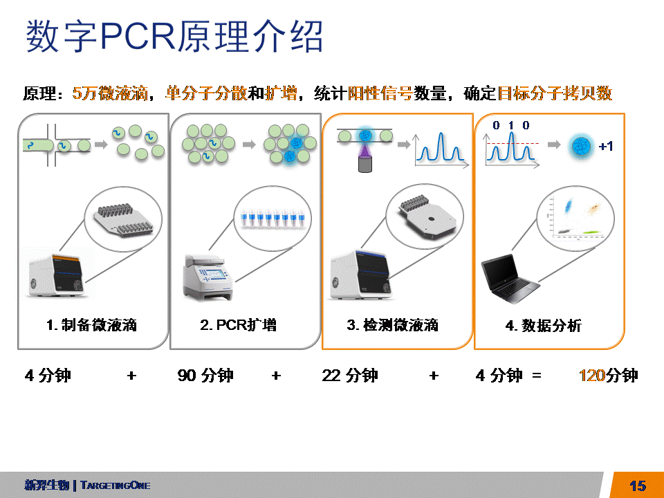  服来代理 数字PCR (图15)