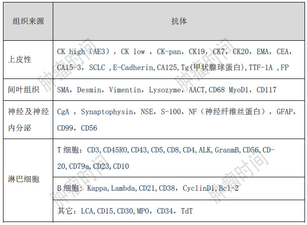 免疫组化指标分不清？一篇轻松搞定(图1)