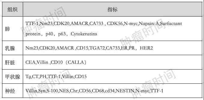 免疫组化指标分不清？一篇轻松搞定(图2)