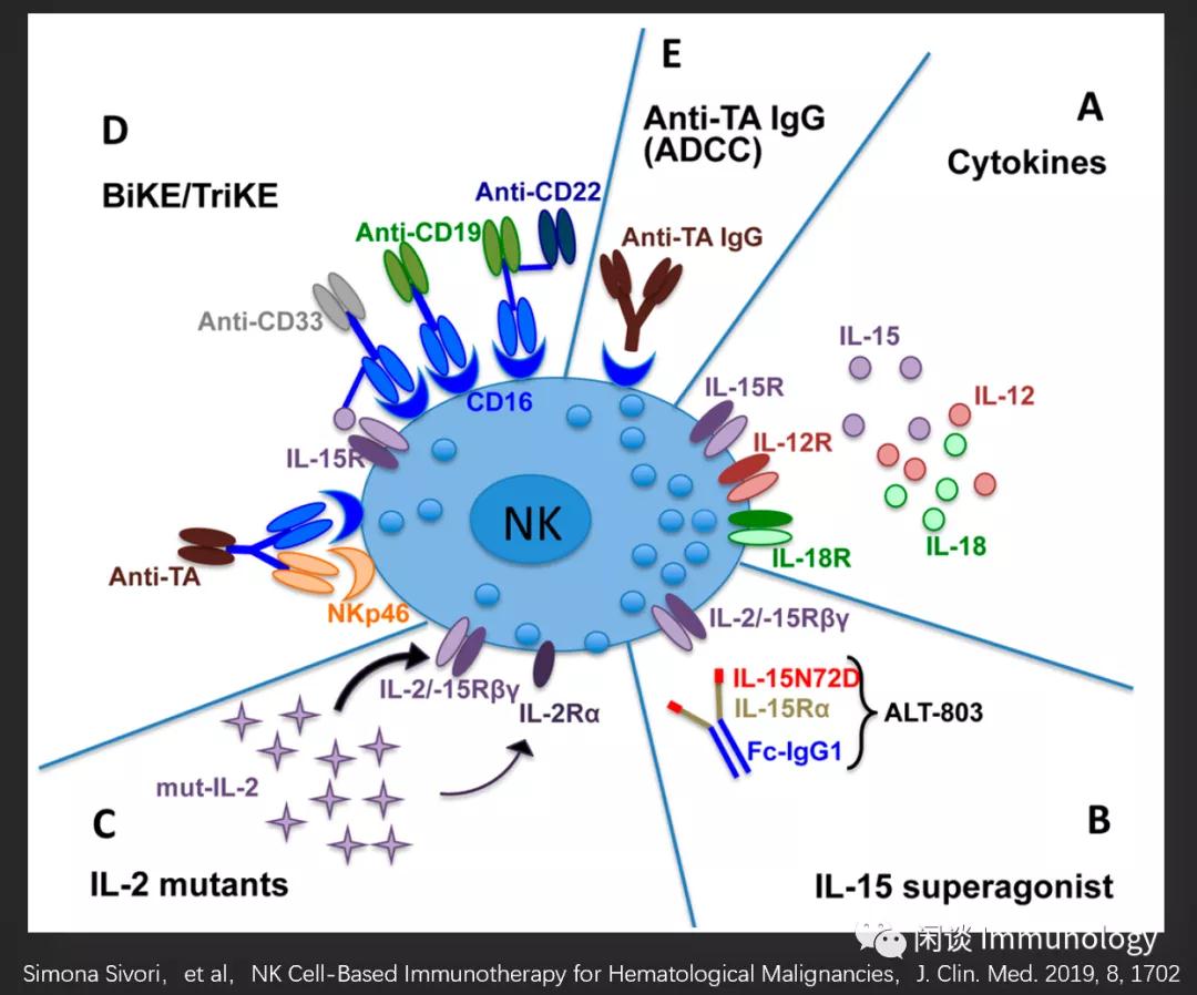 NK细胞肿瘤免疫治疗(图2)