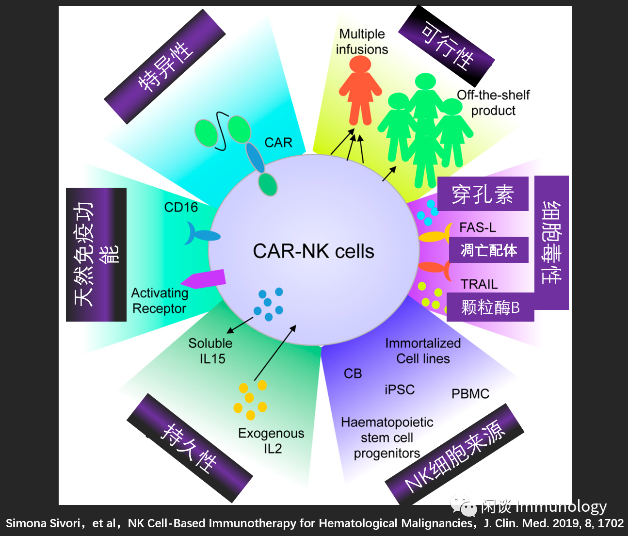 NK细胞肿瘤免疫治疗(图4)